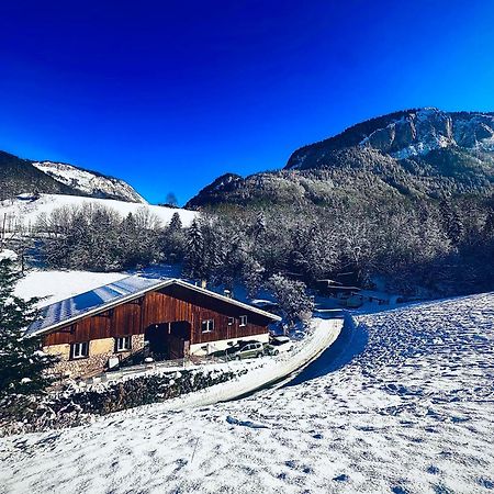 Appartement Dans Maison Familiale Bellevaux Екстер'єр фото